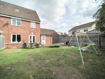 Picture 16